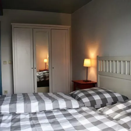 Friesenhaus Vakantiehuis *